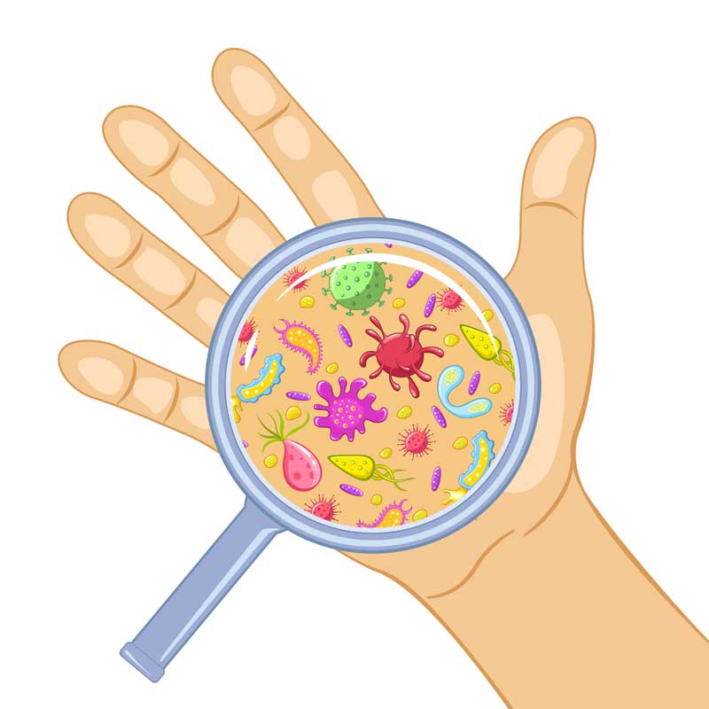 Agregar más de 66 dibujo microbiota mejor - camera.edu.vn
